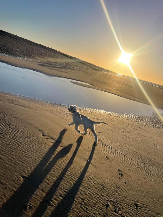 راي Pet Paradise المظهر الخارجي الصورة